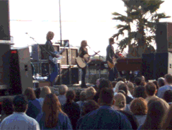 Venue Staffing